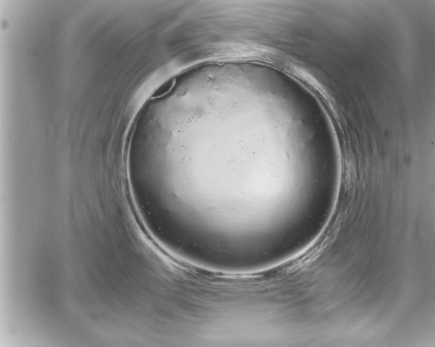 X0000060261487200511010900