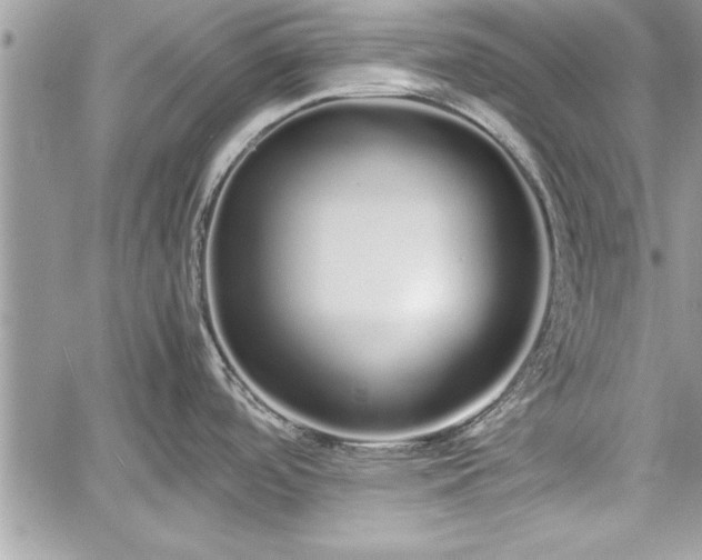 X0000060261488200511010900