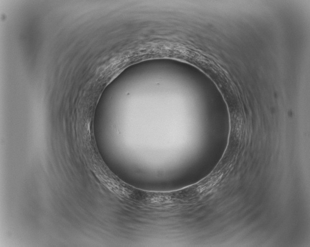 X0000060261489200511010859