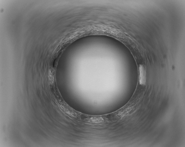 X0000060261491200511010859