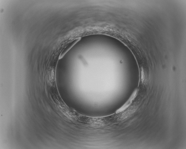 X0000060261492200511010859