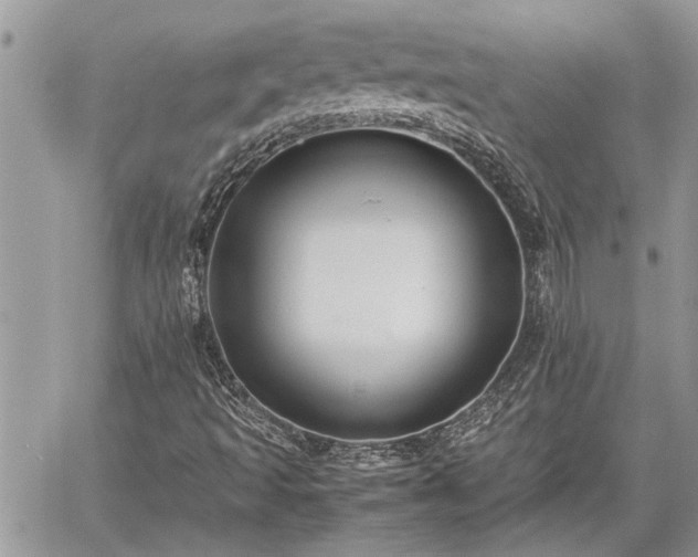 X0000060261493200511010859