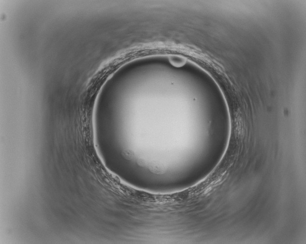 X0000060261494200511010859