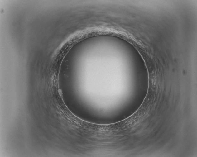 X0000060261495200511010859