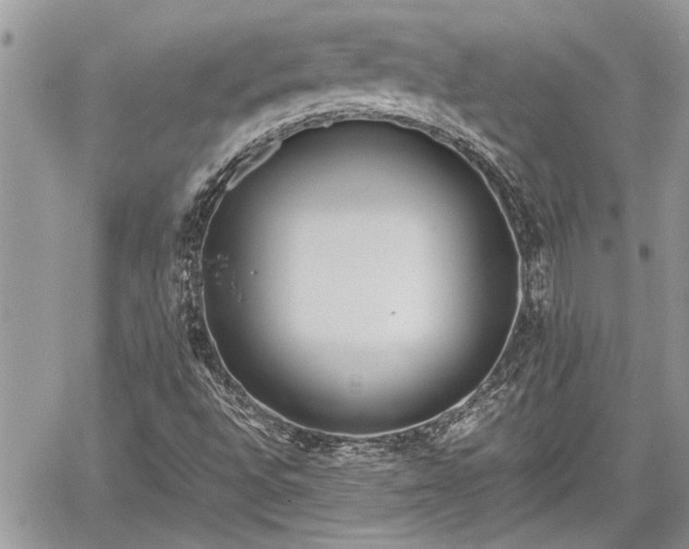 X0000060261496200511010859