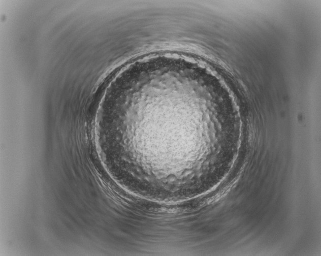 X0000060261497200511010859