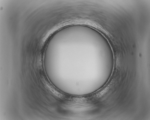 X0000060261498200511010859