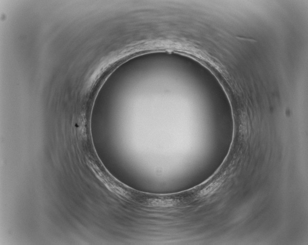 X0000060261499200511010859