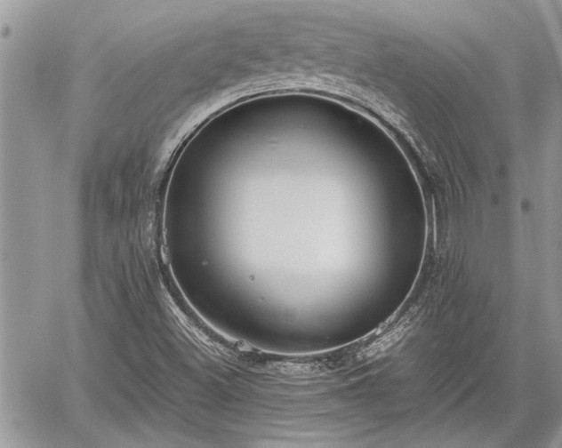 X0000060261500200511010859