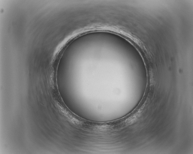 X0000060261502200511010859