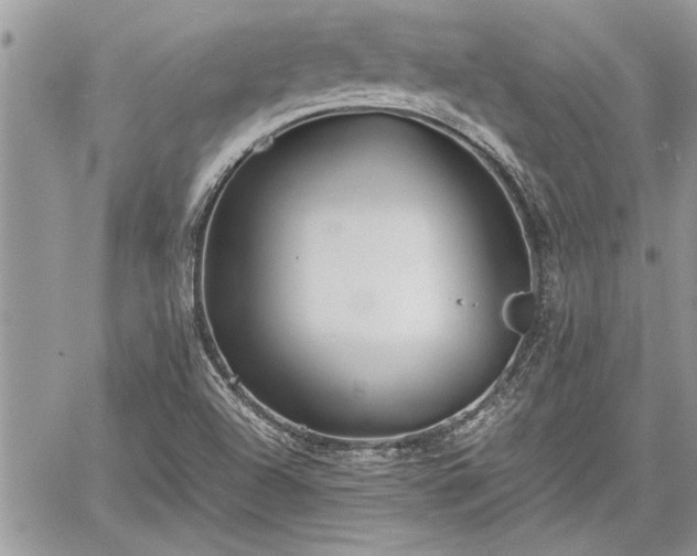 X0000060261504200511010859