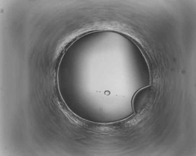 X0000060261507200511010859