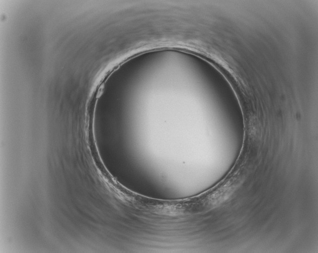 X0000060261508200511010859