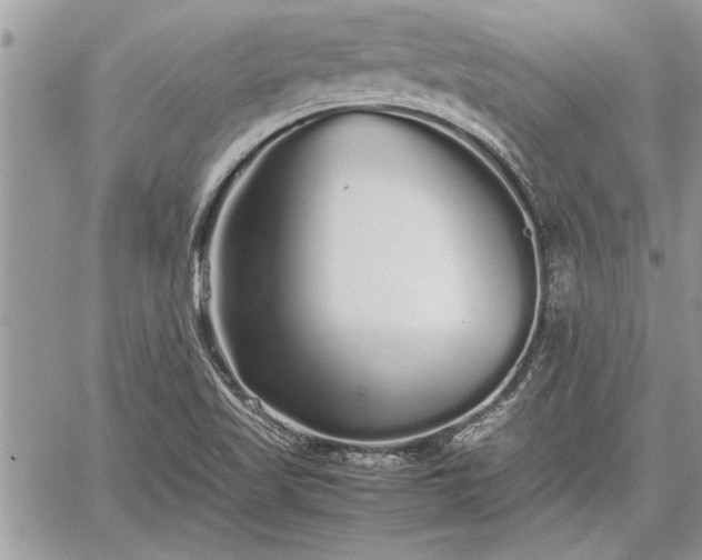 X0000060261509200511010859