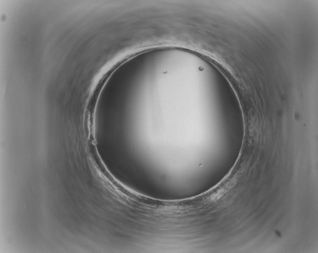 X0000060261510200511010859