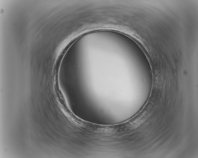 X0000060261511200511010859