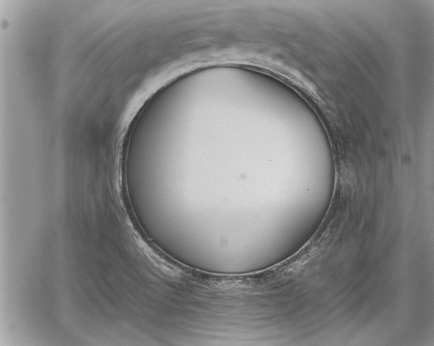 X0000060261512200511010859