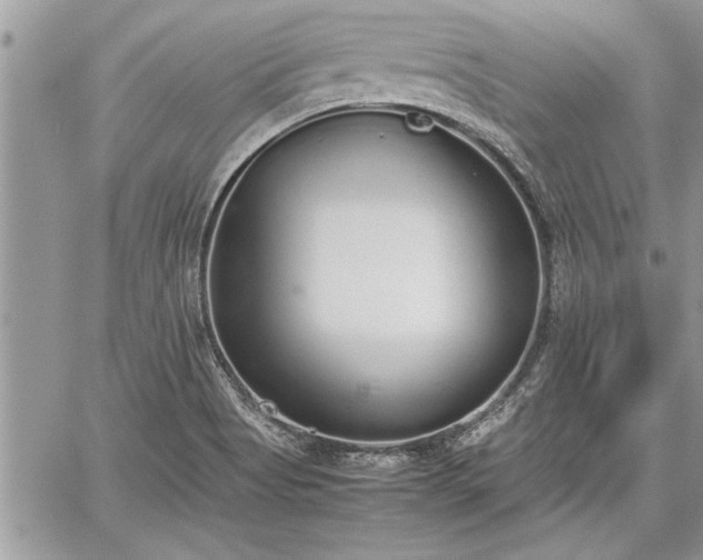 X0000060261513200511010859