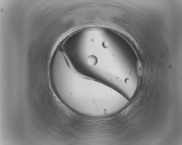 X0000060261514200511010859