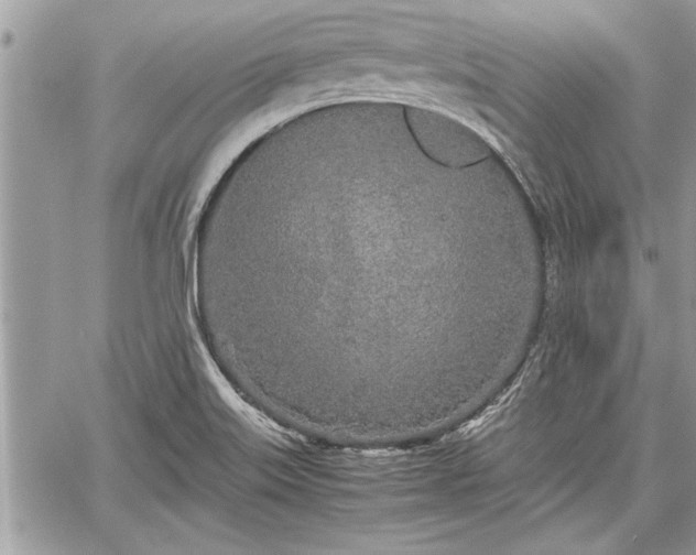 X0000060261515200511010859