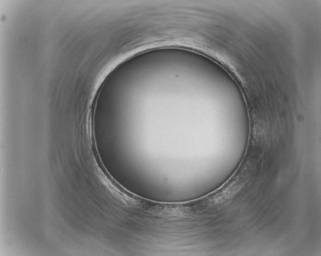 X0000060261516200511010900