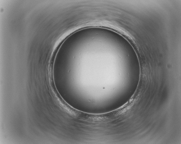 X0000060261517200511010900