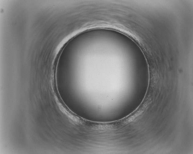 X0000060261518200511010900