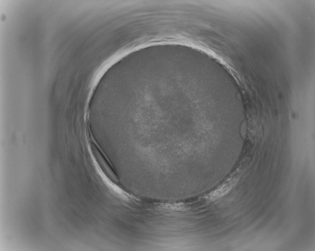 X0000060261519200511010900