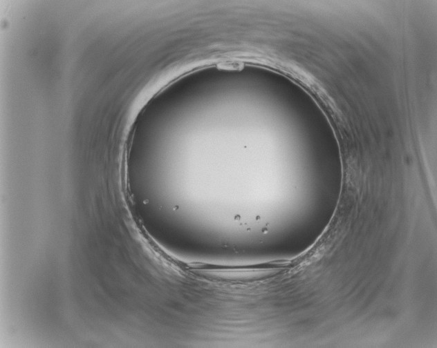 X0000060261520200511010900