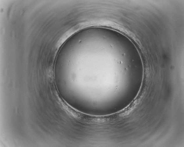 X0000060261521200511010900