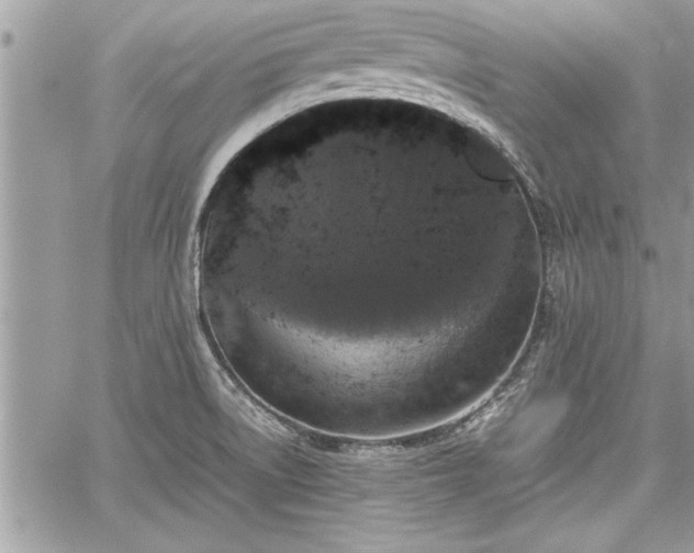 X0000060261522200511010900