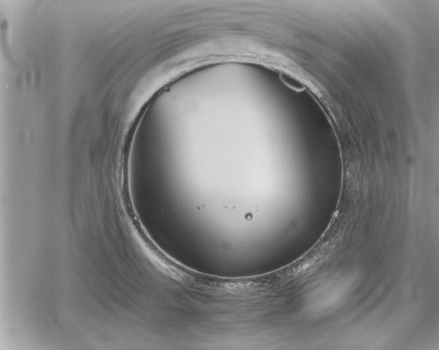 X0000060261523200511010900