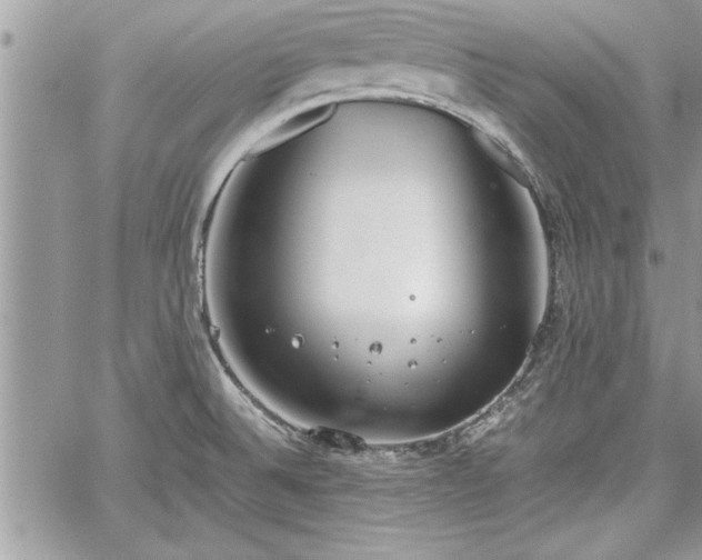 X0000060261524200511010900