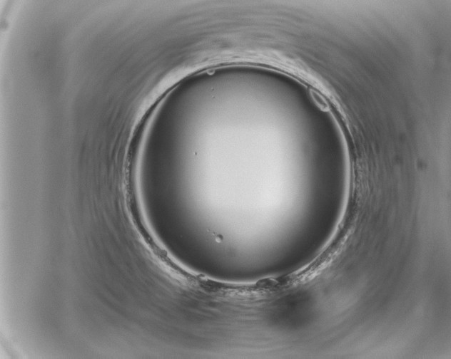 X0000060261525200511010900