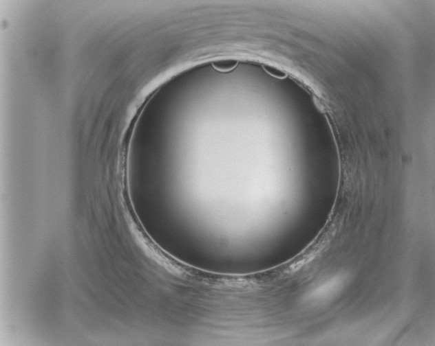 X0000060261526200511010900