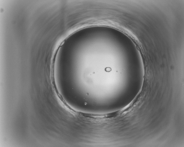 X0000060261528200511010900