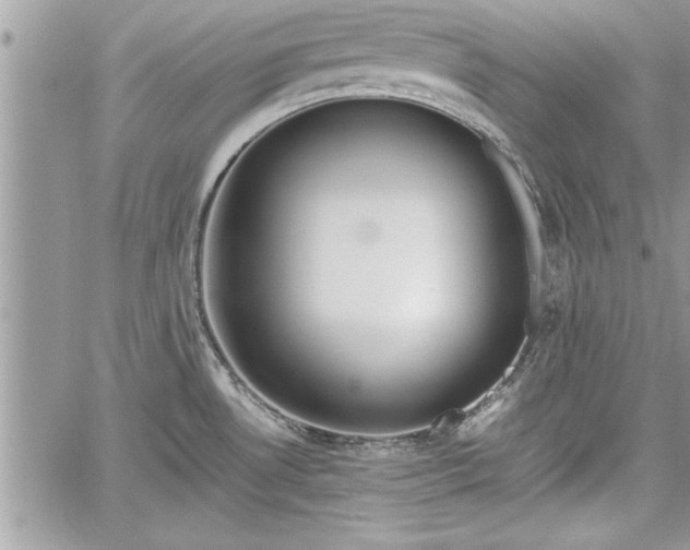 X0000060261530200511010900