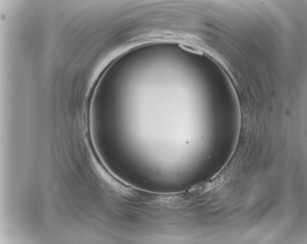 X0000060261531200511010900