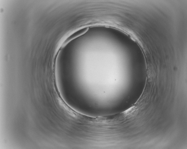 X0000060261532200511010900