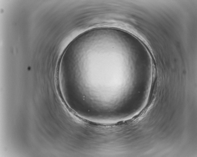 X0000060261533200511010900