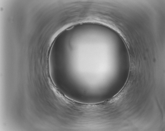 X0000060261534200511010900