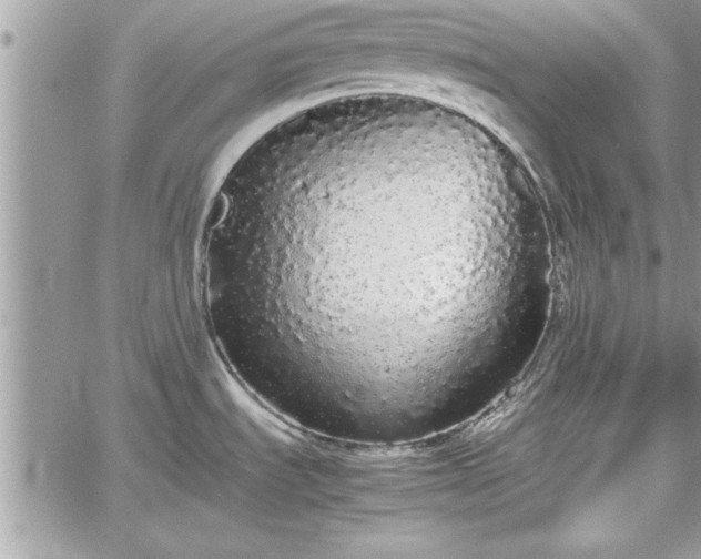 X0000060261535200511010900