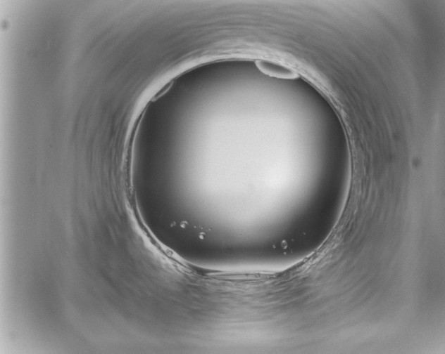 X0000060261536200511010900