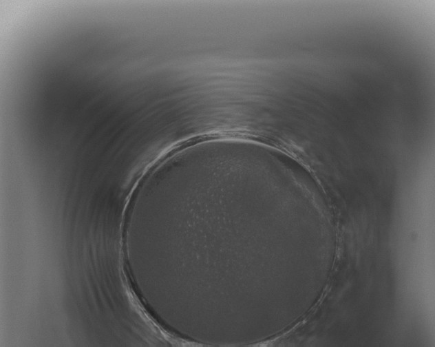 X0000060260002200511041401