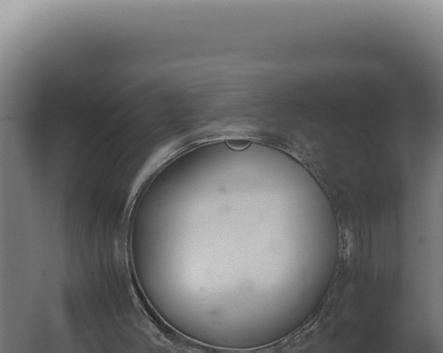 X0000060260004200511041401