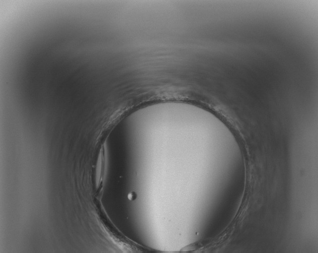 X0000060260009200511041401