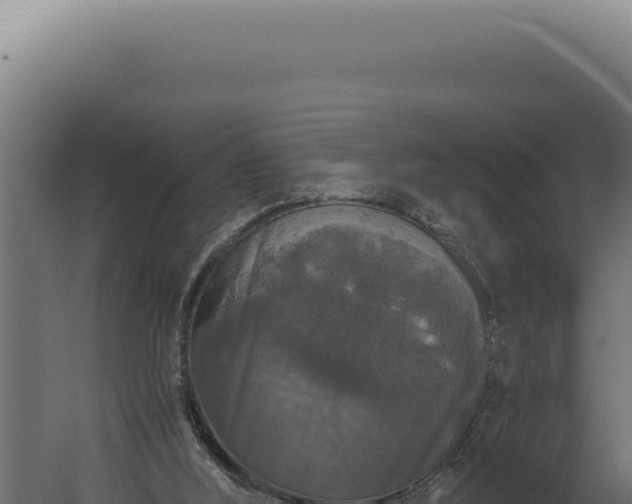 X0000060260012200511041401