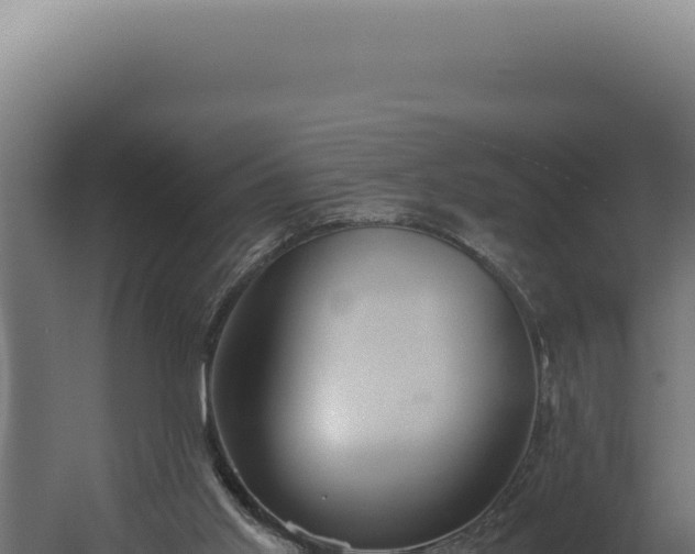 X0000060260013200511041401