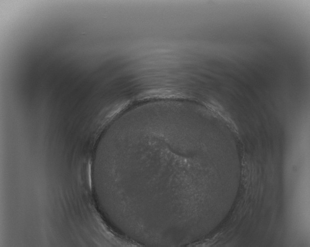 X0000060260014200511041401