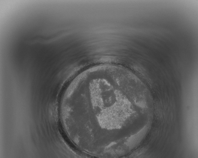 X0000060260016200511041401